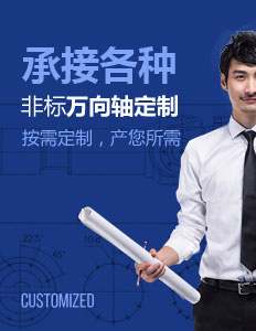 承接各種非標(biāo)萬(wàn)向軸定制